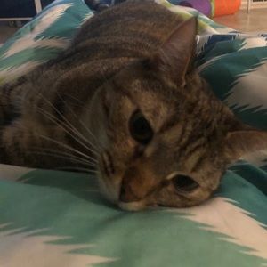 Meet your Posher, Kristen